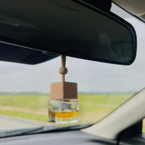 diffuseur-pour-voiture-retroviseur