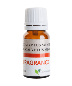 Eucalyptus Mint - Fragrance Oil for Diffuser