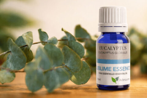 Eucalyptus oil.