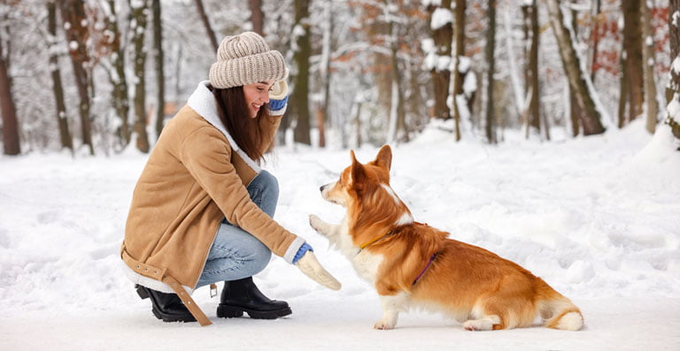 Woman playing with a dog in the winter.