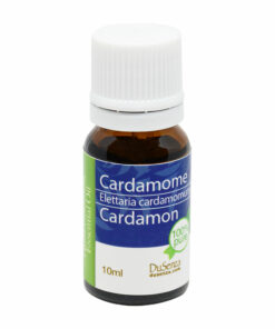 Cardamom essential oil. 10 ml bottle.