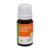 Huile essentielle d'eucalyptus. Bouteille de 10 ml.