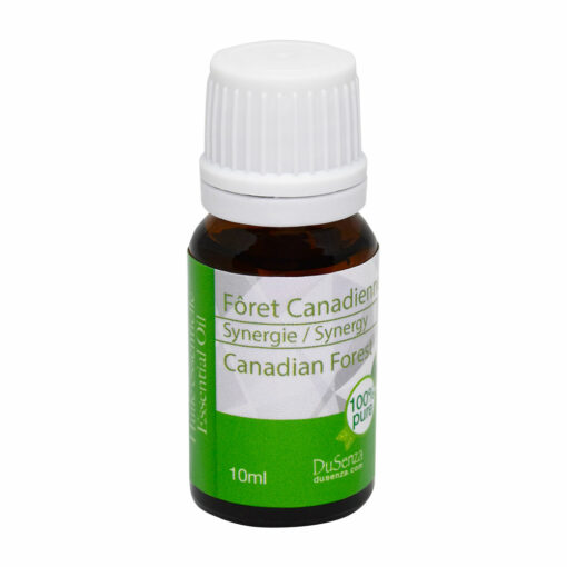Synergy Canadian Forest essential oil. 10 ml bottle.