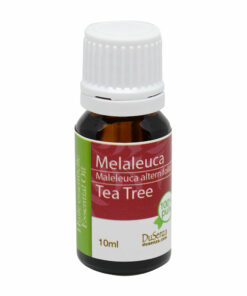 Huile essentielle de melaleuca. Bouteille de 10 ml.